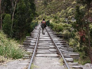 selva3